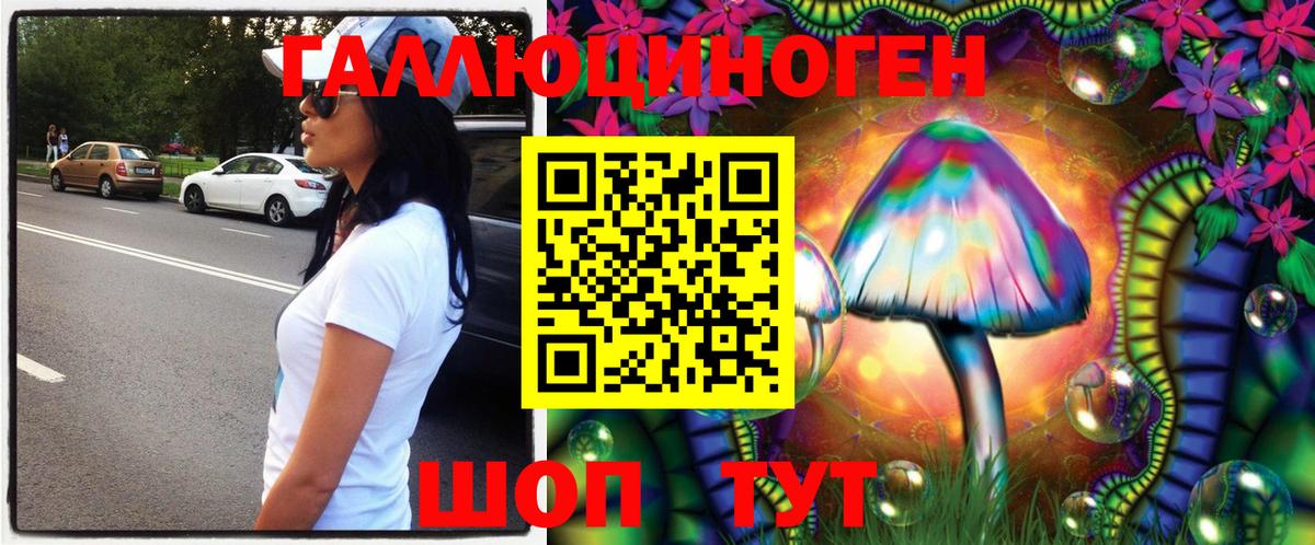 купить наркотики сайты  Вход с VPN  Кострома  Галлюциногенные грибы Magic Shrooms 