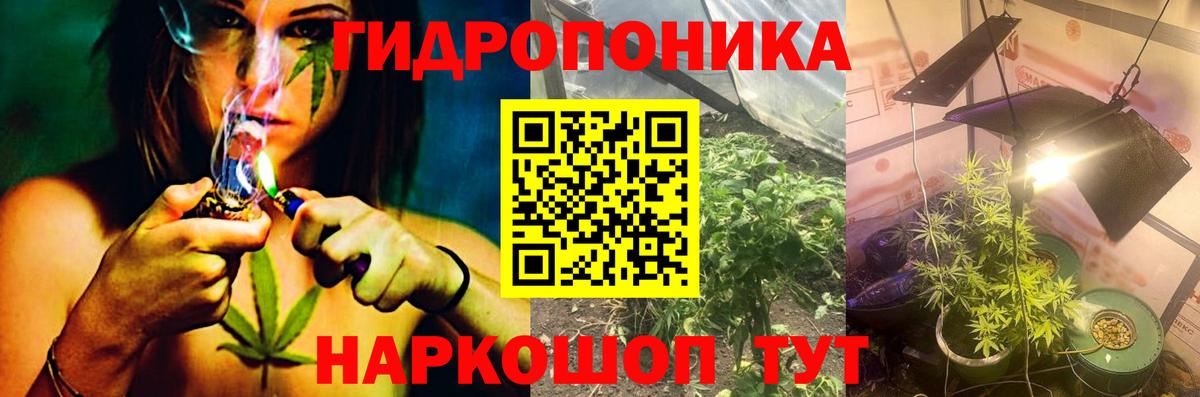 Конопля марихуана Кострома